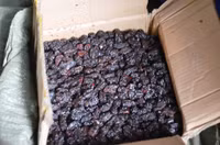 Đóng gói mứt bẩn nghi từ Trung Quốc để bán ra thị trường dịp Tết ảnh 3 Dong goi mut ban nghi tu Trung Quoc de ban ra thi truong dip Tet - Anh 3