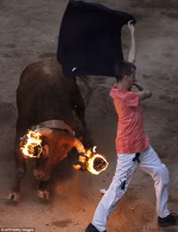 Bò tót sừng lửa đuổi người trong lễ hội ở Tây Ban Nha
