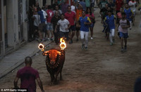 Bò tót sừng lửa đuổi người trong lễ hội ở Tây Ban Nha