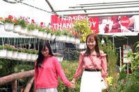 Rực rỡ làng hoa Sa Đéc ngày giáp Tết ảnh 10