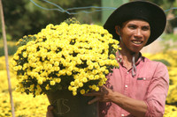 Rực rỡ làng hoa Sa Đéc ngày giáp Tết ảnh 6