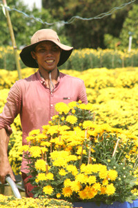 Rực rỡ làng hoa Sa Đéc ngày giáp Tết ảnh 4