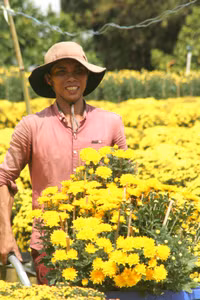 Rực rỡ làng hoa Sa Đéc ngày giáp Tết ảnh 4