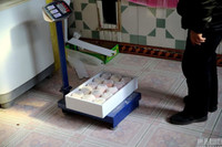 Cô bé khuyết tật kinh doanh online bằng mũi và cằm 5