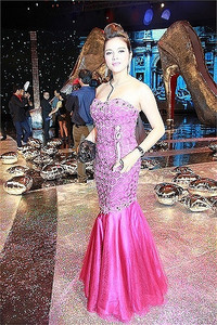 Biệt thự triệu USD xa hoa đầy bí ẩn của Lý Nhã Kỳ ảnh 21