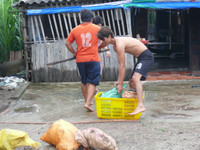 Công tác chuẩn bị ứng phó với bão số 12 của ngư dân Cà Mau ảnh 2