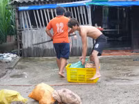 Công tác chuẩn bị ứng phó với bão số 12 của ngư dân Cà Mau ảnh 2