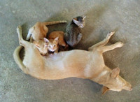 Quẳng lên tường FB những... nụ cười ảnh 6