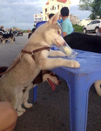 Quẳng lên tường FB những... nụ cười ảnh 3