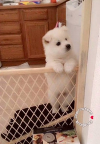 Quẳng lên tường FB những... nụ cười ảnh 5