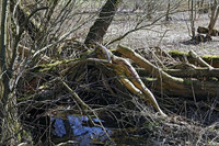 Tron mat truoc nhung bac thay nguy trang