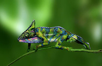 Tron mat truoc nhung bac thay nguy trang