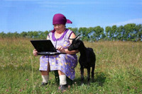 Ảnh hài: Năm Mùi ngắm ảnh... dê