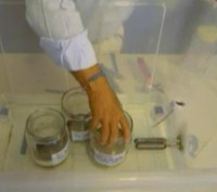 Dùng “vi khuẩn” để xây nhà ảnh 2 Dùng “vi khuẩn” để xây nhà ảnh 2