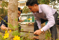 Đồng Tháp: Trường học khẩn trương ứng phó bão số 16 ảnh 2