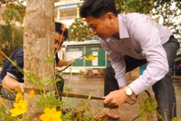 Đồng Tháp: Trường học khẩn trương ứng phó bão số 16 ảnh 2