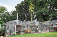 Cây xương rồng khổng lồ 100 năm ra hoa một lần ảnh 4 Cây xương rồng khổng lồ 100 năm ra hoa một lần