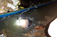 Chùm ảnh vây bắt cá hô nặng 90 kg trong đêm ảnh 2