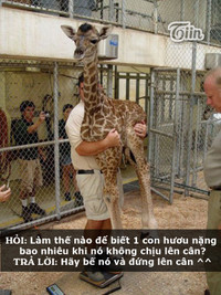 Ảnh vui Khi cô dâu quậy