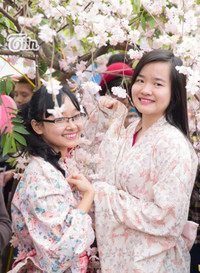 Giới trẻ Hà thành xúng xính kimono tạo dáng bên hoa anh đào