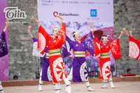 Giới trẻ Hà thành xúng xính kimono tạo dáng bên hoa anh đào