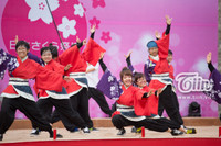 Giới trẻ Hà thành xúng xính kimono tạo dáng bên hoa anh đào