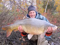 Hiểm họa từ những con cá vàng nặng hàng yến ảnh 13