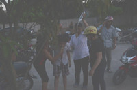 Nghệ An: Nhiều học sinh ngộ độc do ăn hạt cây ngô đồng ảnh 1 Nghệ An: Nhiều học sinh ngộ độc do ăn hạt cây ngô đồng ảnh 1