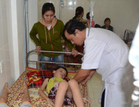 Nghệ An: Nhiều học sinh ngộ độc do ăn hạt cây ngô đồng ảnh 2 Nghệ An: Nhiều học sinh ngộ độc do ăn hạt cây ngô đồng ảnh 2