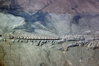 Cận cảnh vết đứt gãy khổng lồ nhất trên vỏ Trái đất ảnh 2