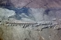 Cận cảnh vết đứt gãy khổng lồ nhất trên vỏ Trái đất ảnh 2