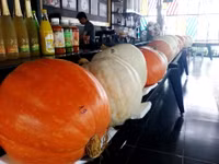 Bí ngô “khủng” xuất hiện ở Cần Thơ ảnh 1