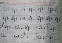 Những lời nhận xét sống động từng trang vở ảnh 16