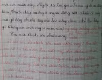 Những lời nhận xét sống động từng trang vở ảnh 10