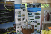 6 đóa hoa đua sắc trên đất nước Indonesia ảnh 7