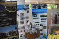 6 đóa hoa đua sắc trên đất nước Indonesia ảnh 7