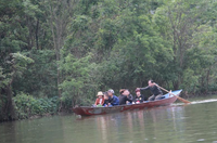 Suối Yến chùa Hương dậy sóng mồng 1 Tết ảnh 5