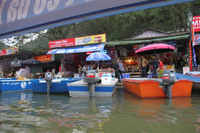 Suối Yến chùa Hương dậy sóng mồng 1 Tết ảnh 8