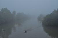 Miền Tây xuất hiện sương mù dày đặc ảnh 5