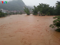 son la chim trong bien nuoc, 8 nguoi chet va mat tich hinh 6