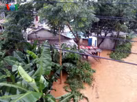 son la chim trong bien nuoc, 8 nguoi chet va mat tich hinh 5