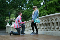 Nhiếp ảnh gia chuyên chụp cảnh cầu hôn siêu lãng mạn ở New York ảnh 7 Nhiếp ảnh gia ‘vô tình’ chụp các khoảnh khắc cầu hôn siêu lãng mạn ở New York