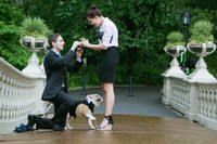 Nhiếp ảnh gia chuyên chụp cảnh cầu hôn siêu lãng mạn ở New York ảnh 3 Nhiếp ảnh gia ‘vô tình’ chụp các khoảnh khắc cầu hôn siêu lãng mạn ở New York