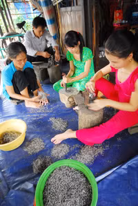 Làng nghề ở miền Tây ăn nên làm ra nhờ mùa lũ ảnh 13