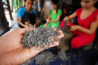 Làng nghề ở miền Tây ăn nên làm ra nhờ mùa lũ ảnh 15