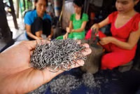 Làng nghề ở miền Tây ăn nên làm ra nhờ mùa lũ ảnh 15