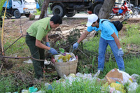 Sinh viên ĐH Kiên Giang hướng về biển đảo, bảo vệ môi trường ảnh 3