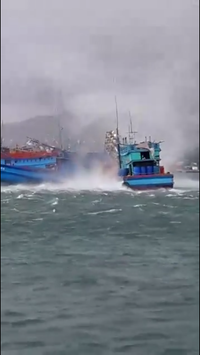 Kiên Giang: Vòi rồng nhấn chìm một tàu cá ảnh 4