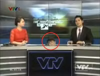 MC, BTV, Quang Minh, Ngọc Trinh, Diệp Anh, Diễm Quỳnh, Quốc Khánh, Khắc Cường, Anh Tuấn, Diệp Chi, Hoa Thanh Tùng, Nguyên Khang