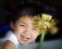 Ngày hạnh phúc, ngắm những trong veo ảnh 13